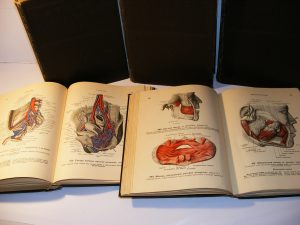 Anatomski atlas čoveka Vorobiev, Sinelnikov 1-5 komplet
