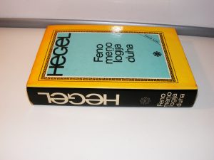 Hegel Fenomenologija duha