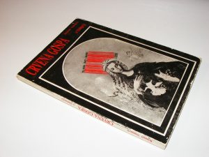 CRVENA GOSPA IZ MEĐUGORJA Branimir Stanojević